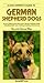 A Dog Owner's Guide to German Shepherd Dogs