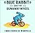 Blue Rabbit and the Runaway Wheel by Christopher Wormell