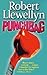 Punchbag