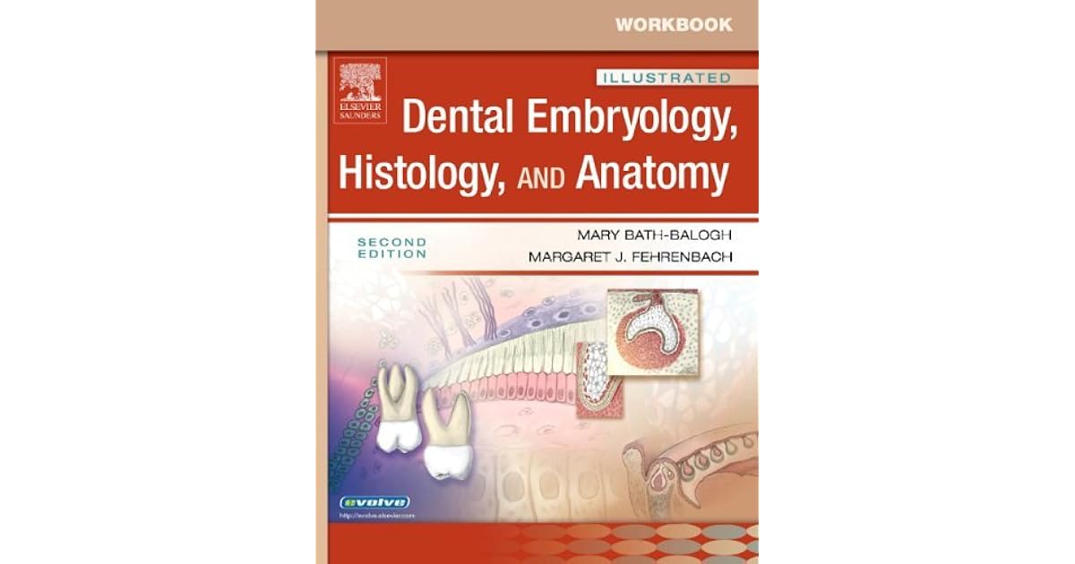 Illustrated Dental Embryology, Histology, and Anatomy by Mary BathBalogh