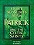 Quiet Moments With Patrick and the Celtic Saints: 120 Daily Readings