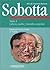 Atlas De Anatomia Humana, T...