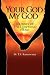 Your God My God by T.S. Ramaswamy Your God My God by T.S. Ramaswamy