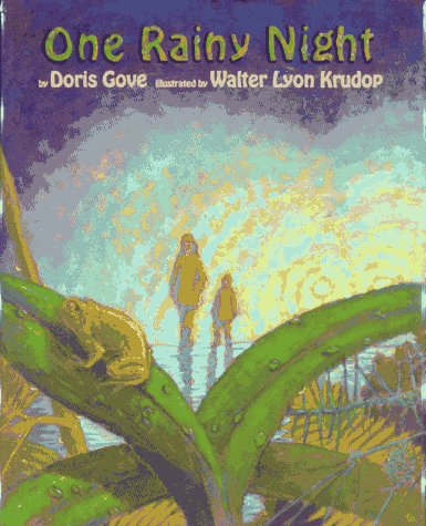 One Rainy Night (Hardcover)