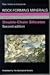 Double Chain Silicates (Roc...