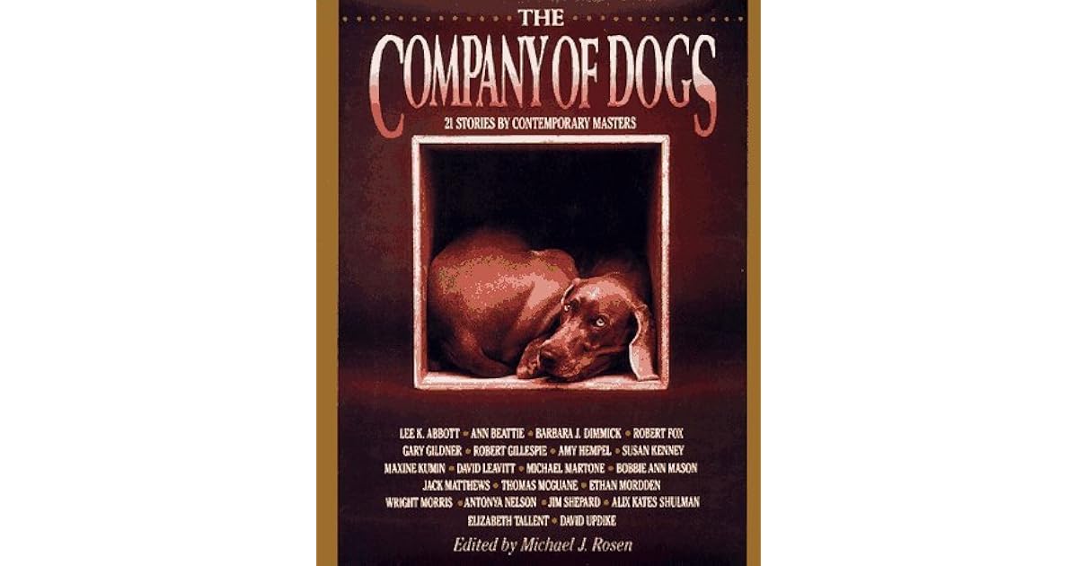 The Company Of Dogs by Michael J. Rosen