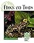Frogs and Toads (Endangered Animals and Habitats)