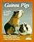 Guinea Pigs by Katrin Behrend
