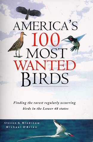 America's 100 Most Wanted Birds: Finding the Rarest Regularly Occuring Birds in the Lower 48 States (Paperback)