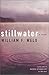 Stillwater: A Novel