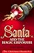 Santa and the Magic Emporium (Christmas Chronicles)
