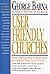 User Friendly Churches: What Christians Need to Know About the Churches People Love to Go to