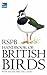 Rspb Handbook of British Birds by Peter Holden