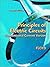Principles of Electric Circuits: Conventional Current Version