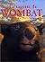 La sagesse de Wombat