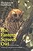 The Eastern Screech Owl: Life History, Ecology, and Behavior in the Suburbs and Countryside (W L MOODY, JR, NATURAL HISTORY SERIES)