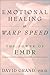 Emotional Healing at Warp Speed by David  Grand