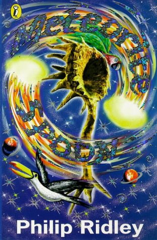 Meteorite Spoon (Paperback)