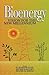 Bioenergy: Vision for the New Millennium
