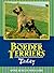 Border Terriers Today