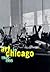 Art in Chicago: 1945-1995