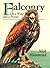 Falconry: On a Wing and a Prayer