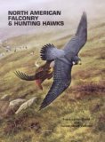 North American Falconry & Hunting Hawks