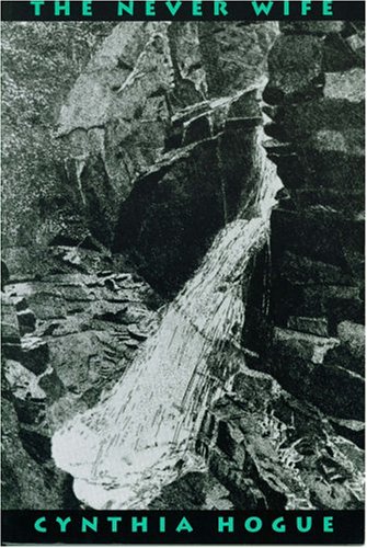 THE NEVER WIFE (Paperback)