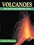 Volcanoes: A Planetary Perspective