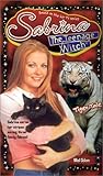 Tiger Tale (Sabrina the Teenage Witch, #41)