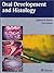 Oral Development and Histology