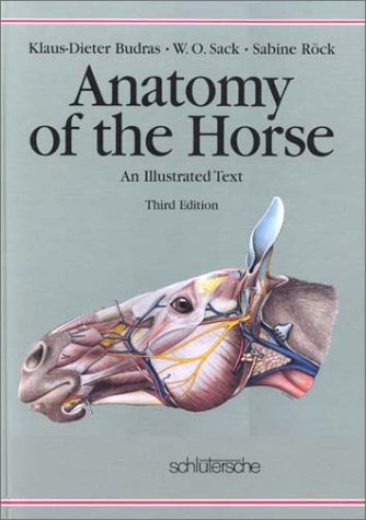 Anatomy of the Horse: An Illustrated Text (Hardcover)