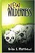 New Wilderness