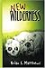 New Wilderness by Brian S. Matthews