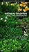 Waking Up the Garden: Planting, Clearing, and Other Spring Tasks (Seasonal Garden Workbook)