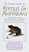 Instant Guide to Reptiles a...