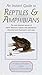 Instant Guide to Reptiles and Amphibians