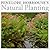Penelope Hobhouse's natural planting