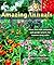 Amazing Annuals
