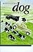 Best-loved Dog Stories