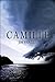 Camille: A Novel