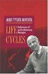 Life Cycles: Refl...