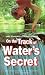 On the Track of Water's Sec...