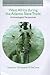 West Africa During the Atlantic Slave Trade: Archaeological Perspectives (New Approaches to Anthropological Archaeology)