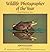 Wildlife Photographer of th...