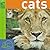 Cats: From Tigers to Tabbys (Animal Planet)
