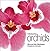 Introducing Orchids