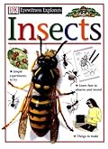 Insects