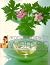 Aromatherapy for Women by Shirley Price