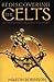 Rediscovering the Celts